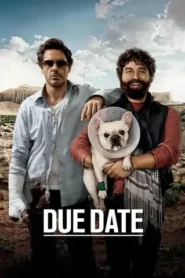 Due Date (2010) Dual Audio [Hindi-English] BluRay Download