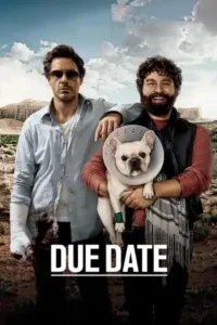 Due Date (2010) Dual Audio [Hindi-English] BluRay Download