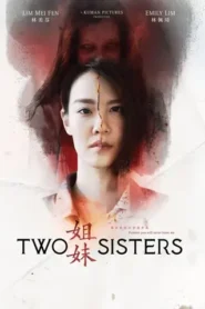 Two Sisters (2019) WEB-DL Dual Audio [Hindi-Chinese] Download